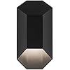 Black LED Outdoor Wall Light