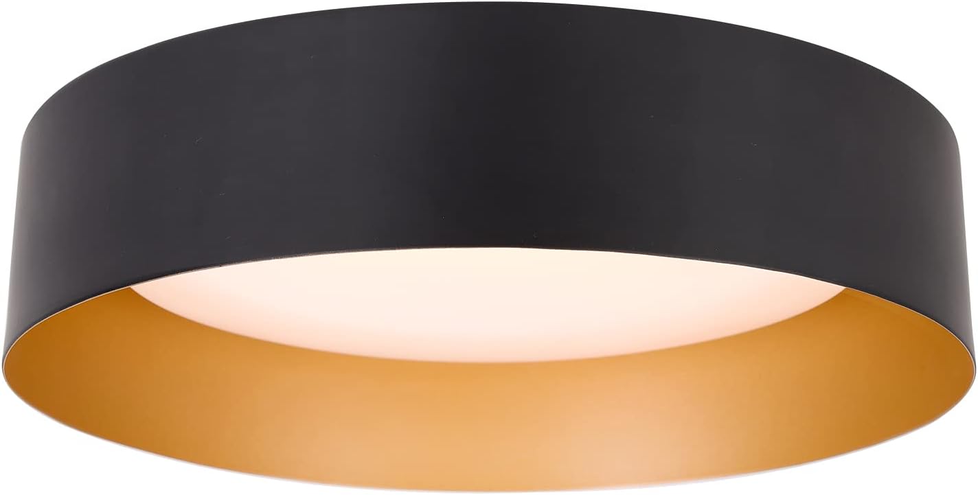 Black Gold LED Ceiling Light