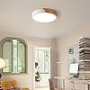 Modern Brass 3-Light Ceiling Fixture