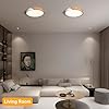 Modern Brass 3-Light Ceiling Fixture