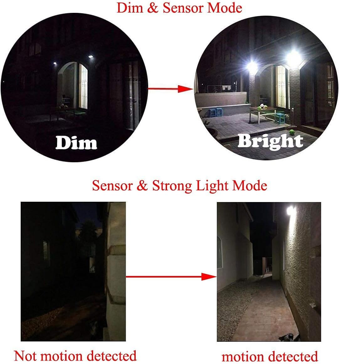 Solar Stainless Steel Motion Light