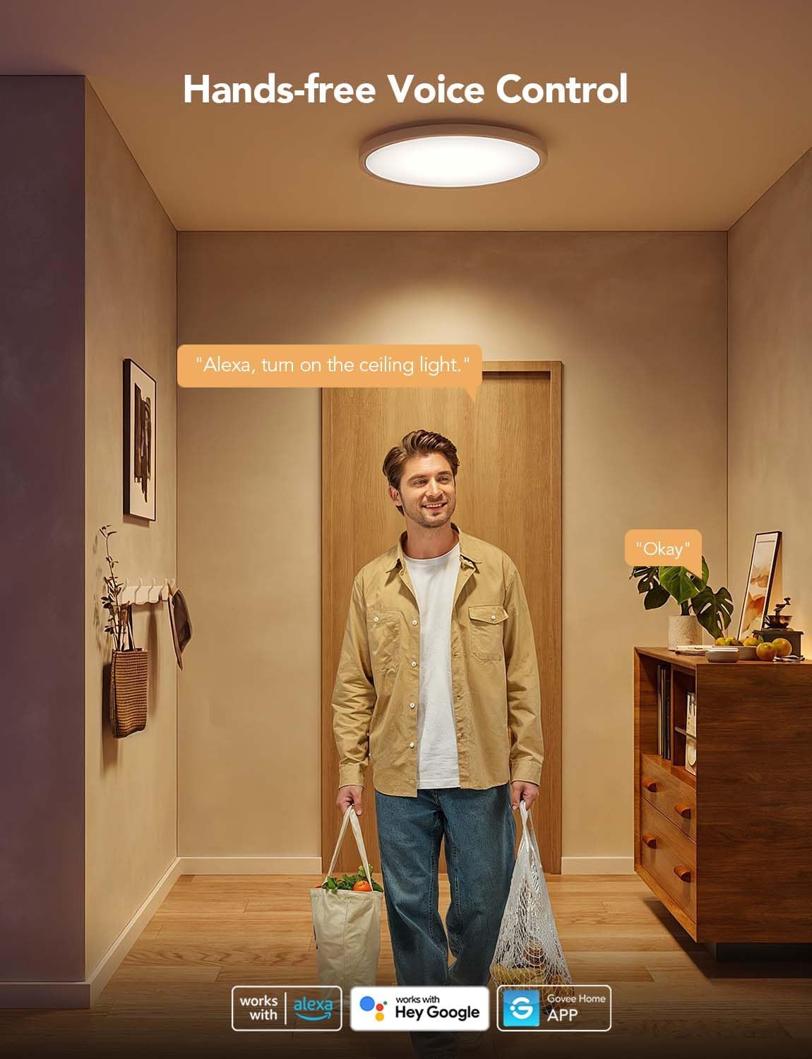 Smart RGBIC LED Ceiling Light