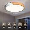 Modern Brass 3-Light Ceiling Fixture