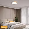 Modern Brass 3-Light Ceiling Fixture