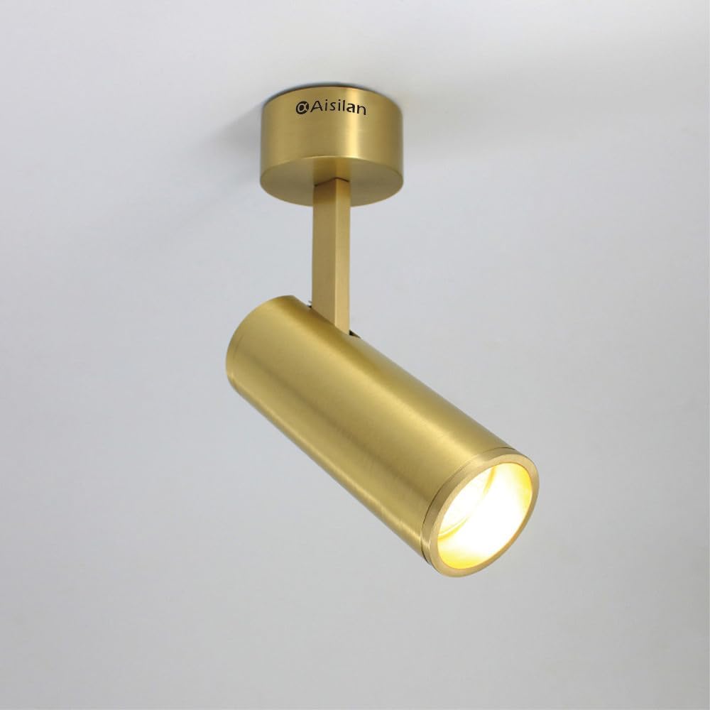 LED Adjustable Hardwired Track Light Head