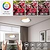 Modern Brass 3-Light Ceiling Fixture