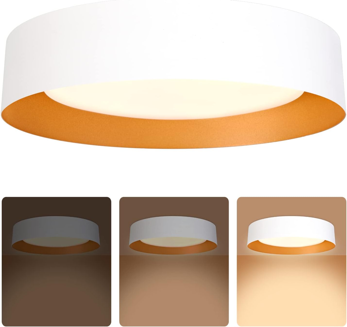 Black Gold LED Ceiling Light