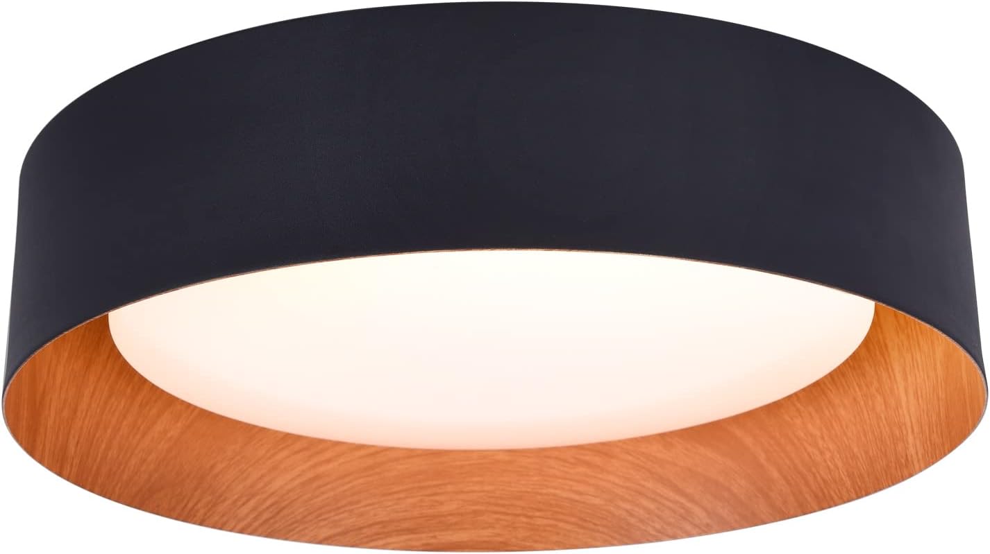Black Gold LED Ceiling Light