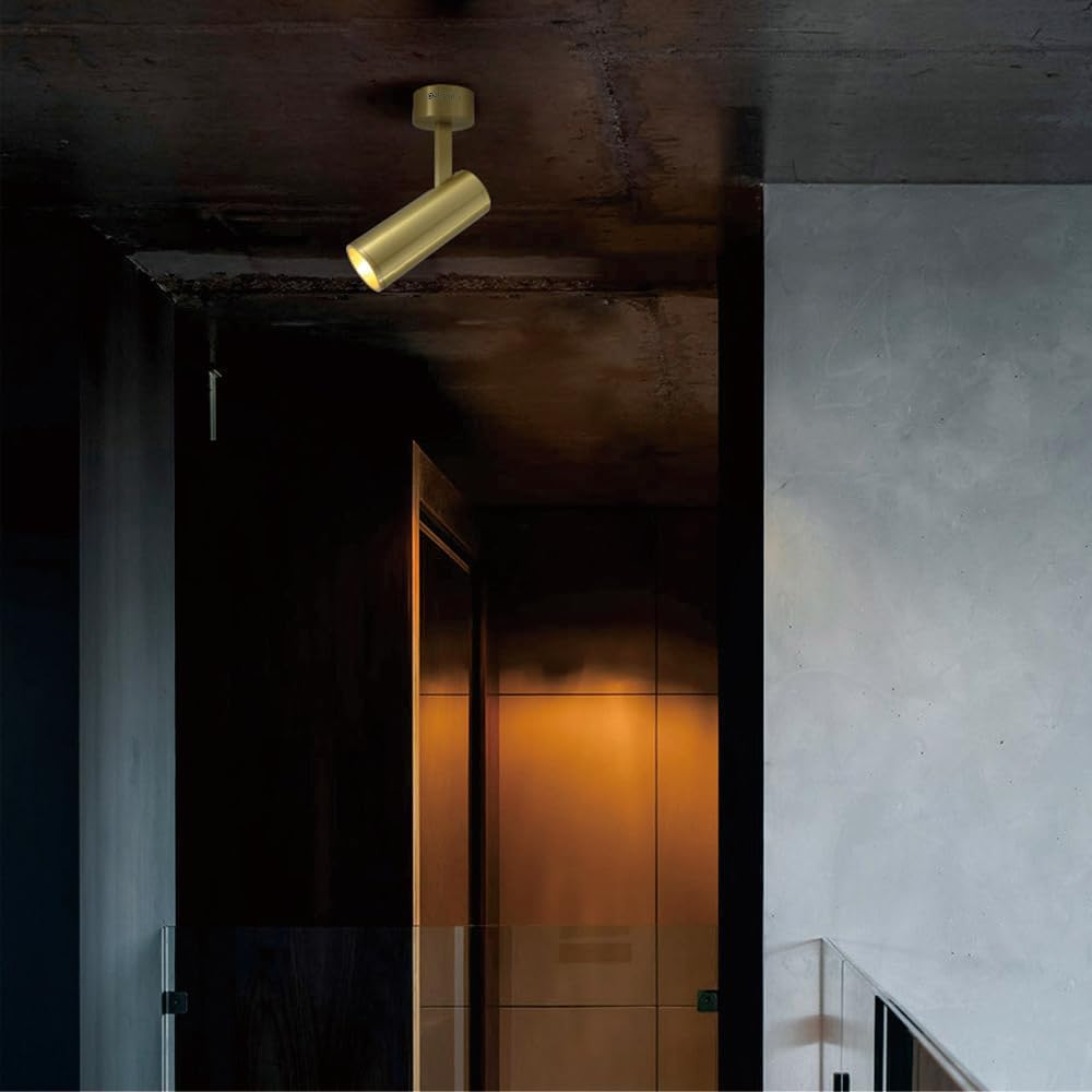 LED Adjustable Hardwired Track Light Head