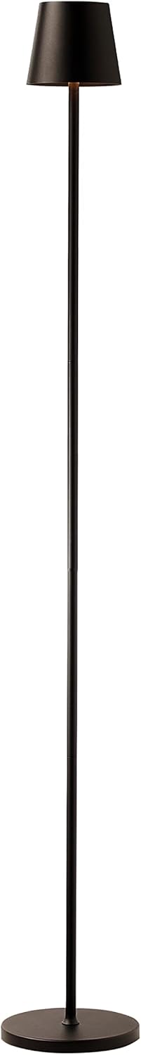 Cordless Dimmable LED Floor Lamp
