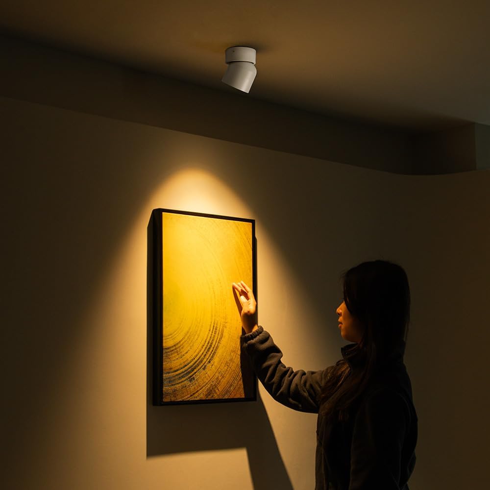 Dimmable LED Ceiling Spot Lights