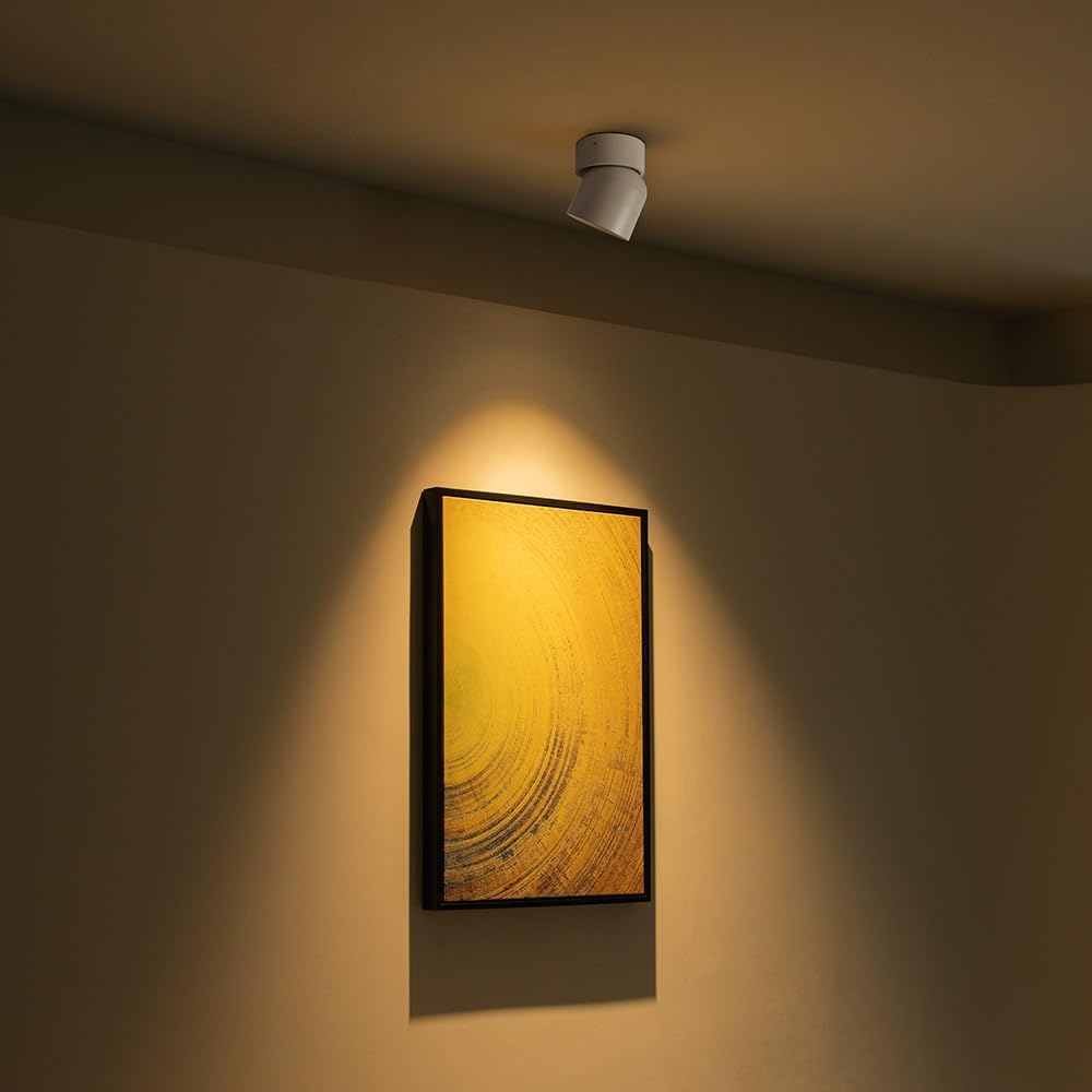 Dimmable LED Ceiling Spot Light