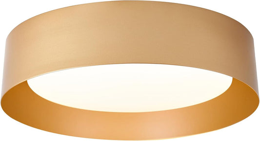 Black Gold LED Ceiling Light