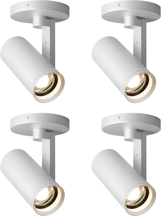 Zoomable Dimmable LED Ceiling Spotlight
