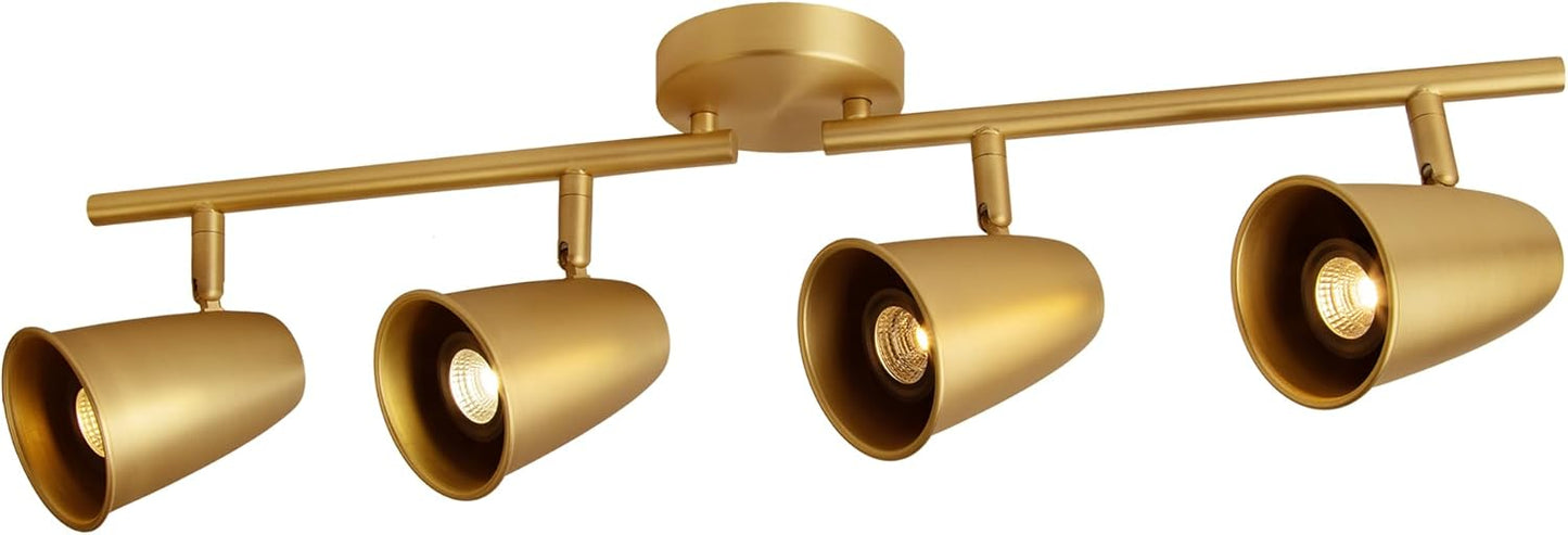 LED Adjustable Hardwired Track Light Head
