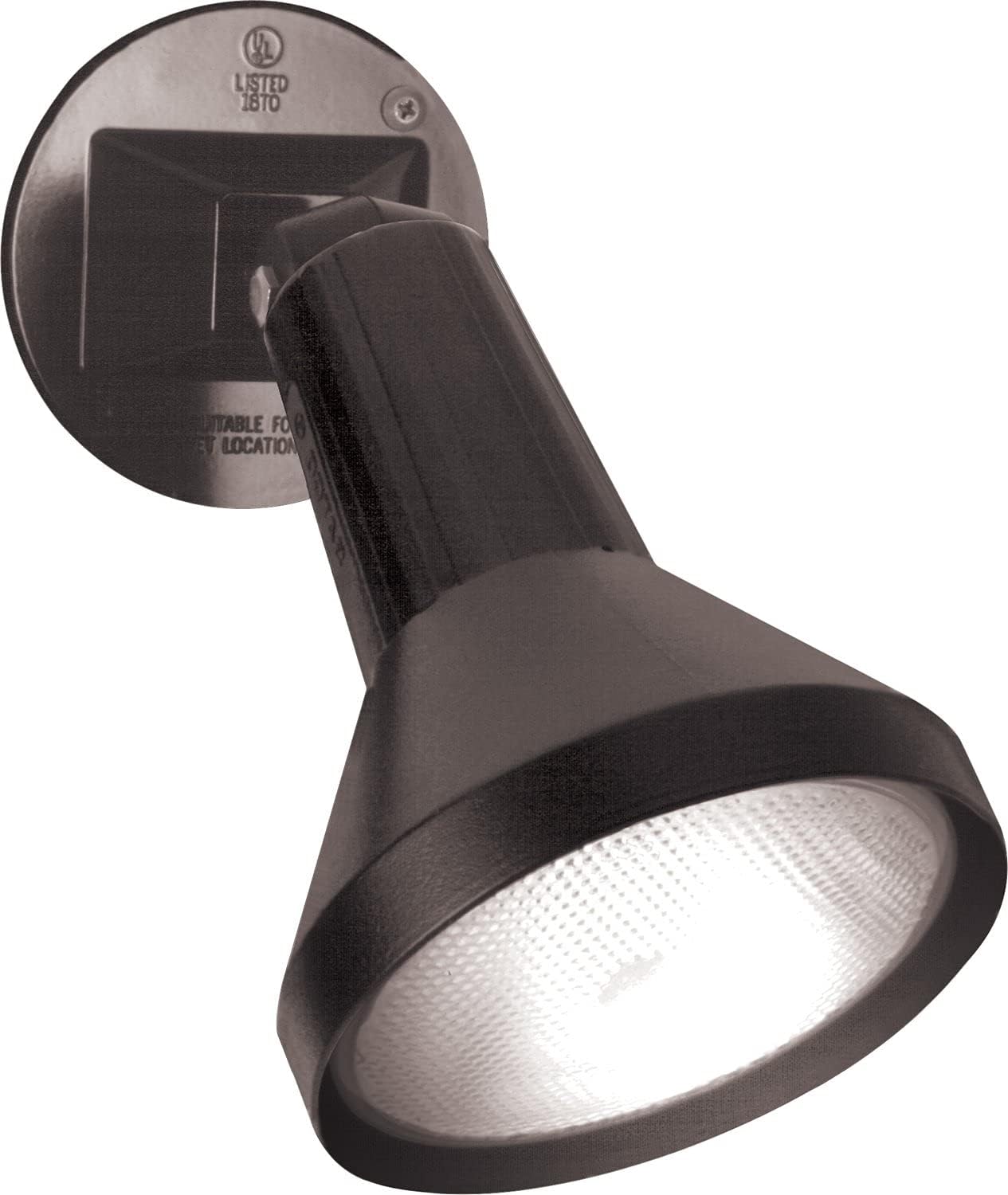 Dark Bronze Outdoor Floodlight