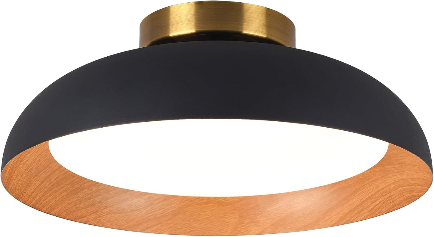 Black Gold LED Ceiling Light