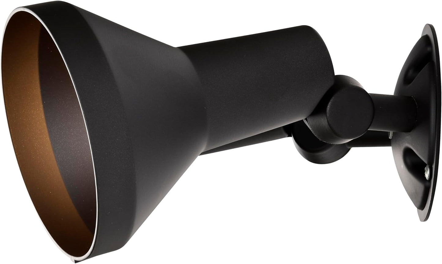 Dark Bronze Outdoor Floodlight
