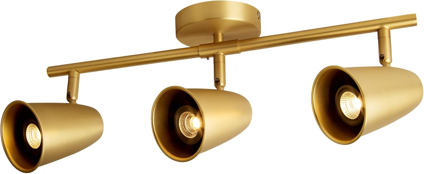LED Adjustable Hardwired Track Light Head