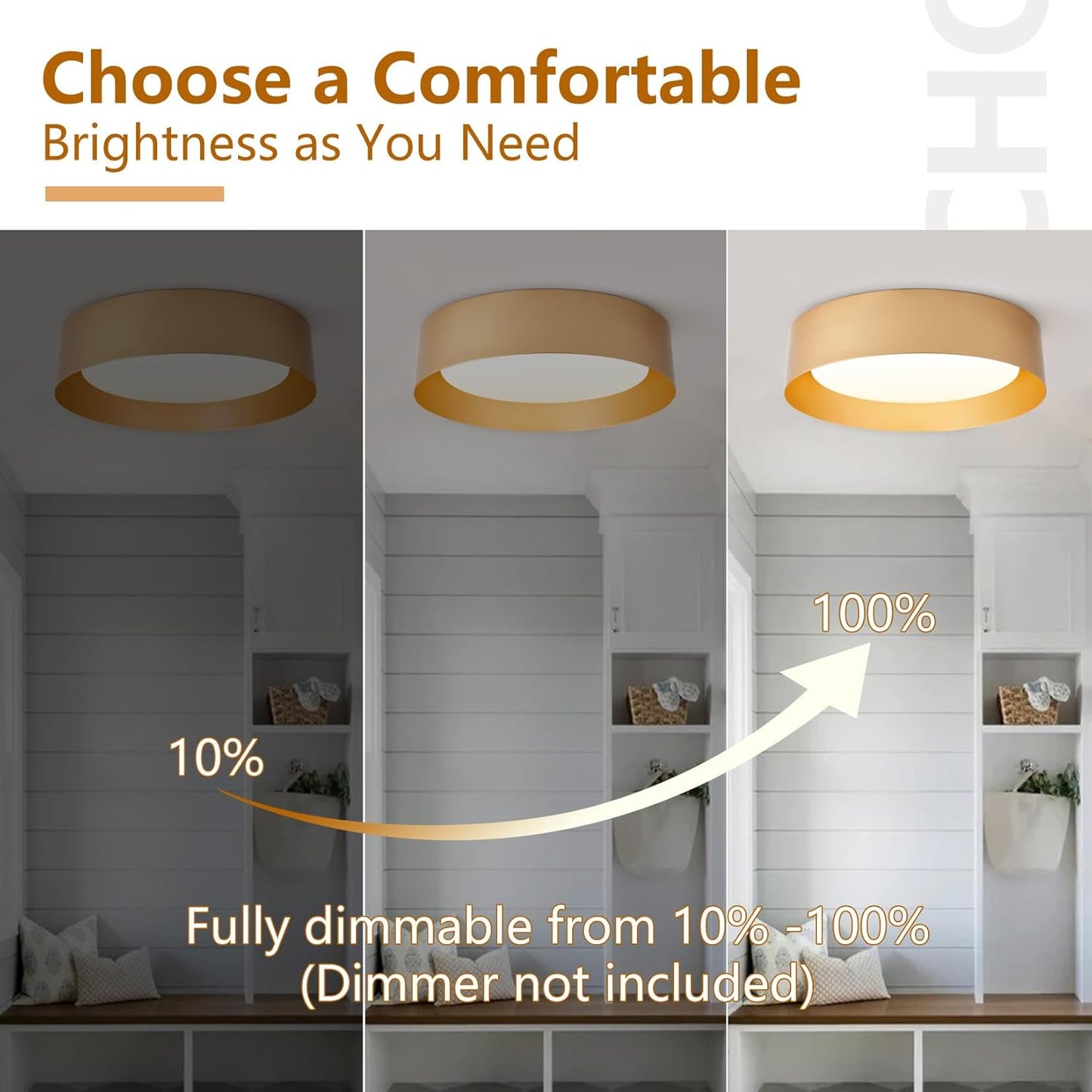 Black Gold LED Ceiling Light