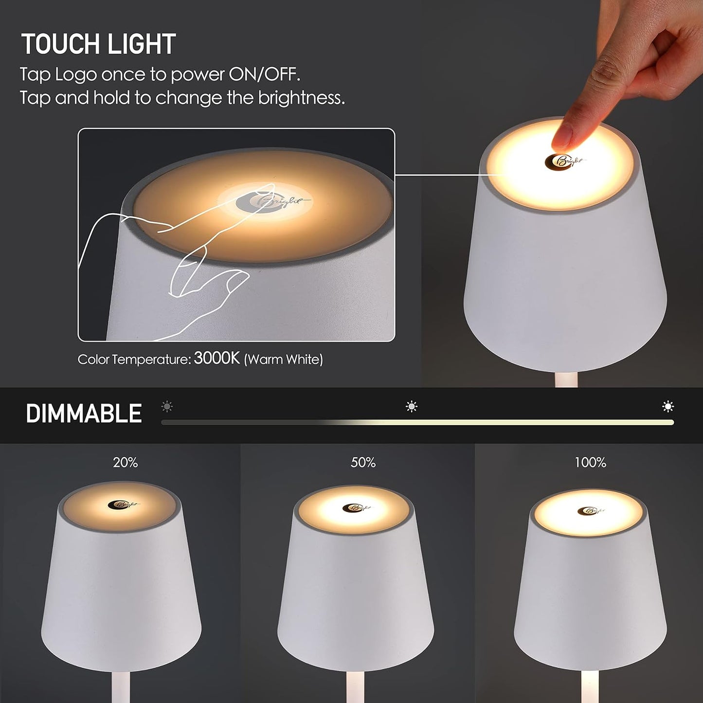 Cordless Dimmable LED Floor Lamp