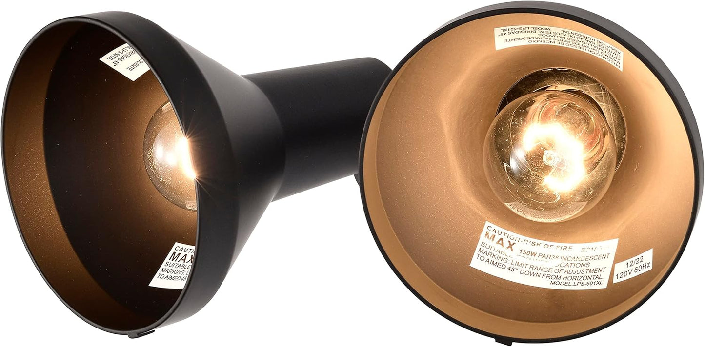 Dark Bronze Outdoor Floodlight