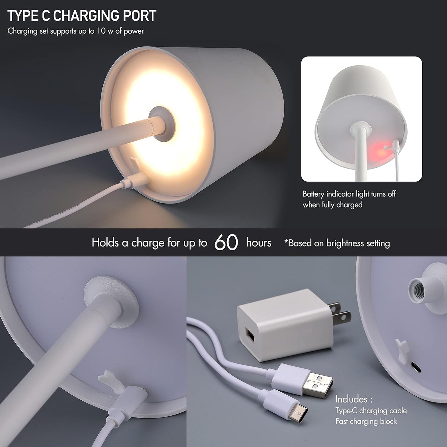 Cordless Dimmable LED Floor Lamp