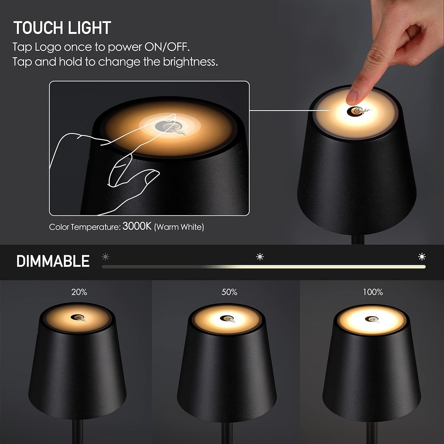 Cordless Dimmable LED Floor Lamp